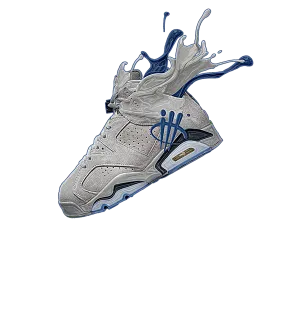 Air Jordan 6 "Georgetown" White T-Shirt (SPLASH)