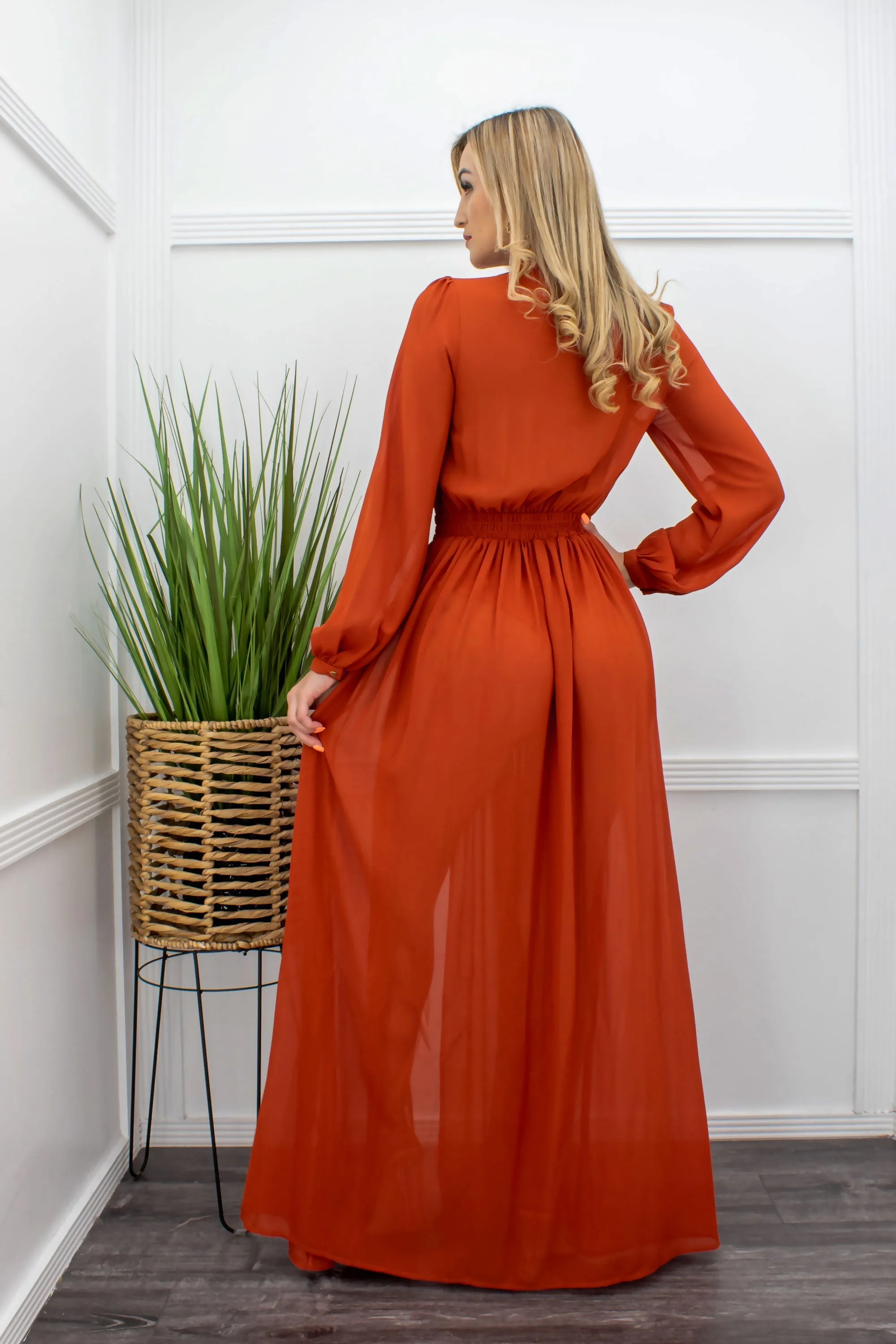 Chiffon Long Sleeve Body Slit Maxi Dress